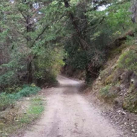 Small Traditional House In Asfendiou Kos *